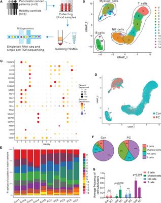 High-dimensional single-cell analysis unveils distinct immune signatures of peripheral blood in patients with pancreatic ductal adenocarcinoma